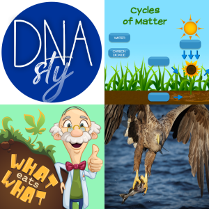 Free Educational Games: Food Chains, Food Webs, and Ecosystems Biology Diagrams